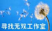 寻找无双