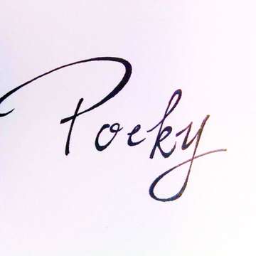 POCKY!POCKY!
