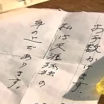 杉松木井会社