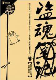 盗魂笔记