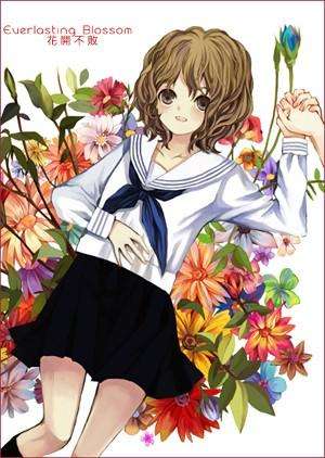 花开不败