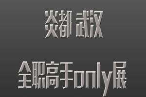 炎都-武汉全职高手 Only
