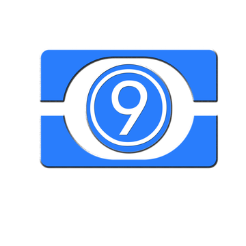 山东9课