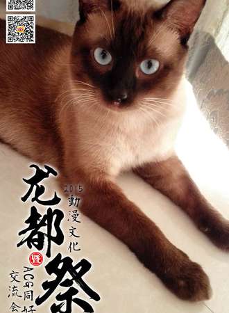 龙都动漫文化展