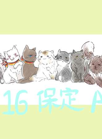 2016保定APHonly