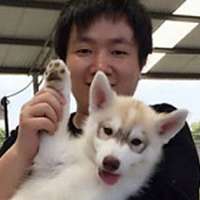 小新