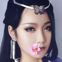 颜渊蝶少