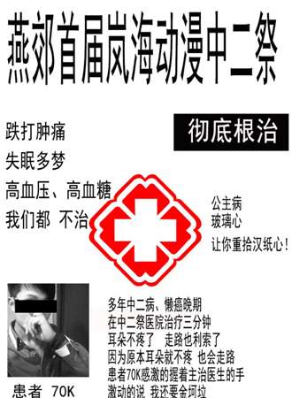2016廊坊燕郊首届岚海动漫中二展
