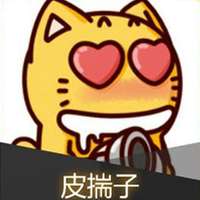 皮揣子
