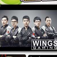 WINGS战队