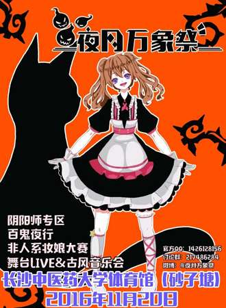 2016长沙夜月万象展