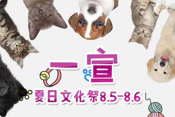 一宣~前方高能！请勿点开~