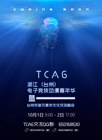 浙江（台州）第二届电子竞技·动漫嘉年华