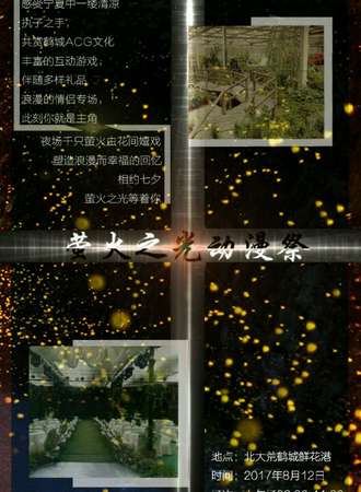 2017萤火之光动漫展
