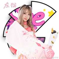 元气左猫