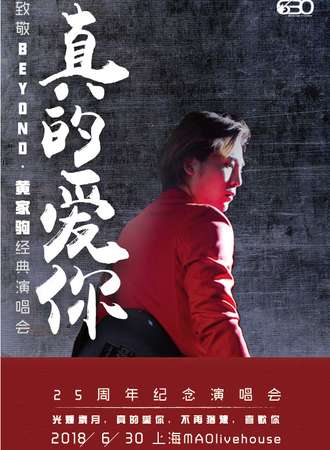真的爱你—致敬BEYOND·黄家驹25周年纪念演唱会