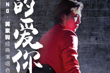 真的爱你—致敬BEYOND·黄家驹25周年纪念演唱会