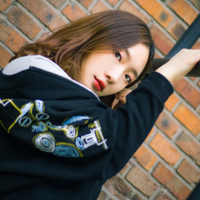 TK菌