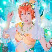 朽木宝宝