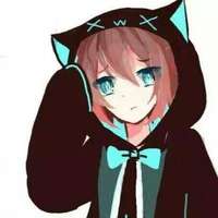 怪猫