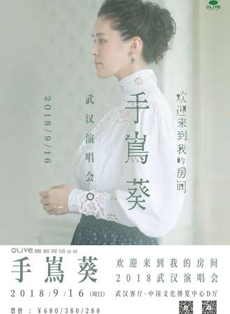 2018手嶌葵武汉演唱会