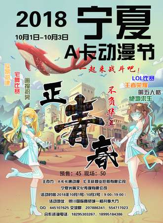 2018宁夏A卡动漫节