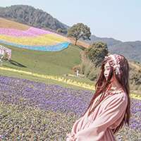 飘飘儿