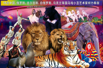 快乐六一.超级马戏-2019国际马戏小丑嘉年华