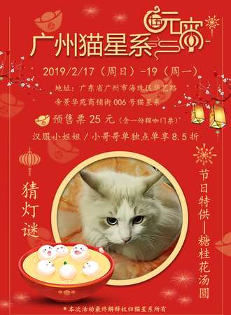 2019喵星系元宵节特别活动