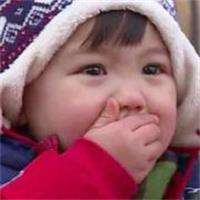 柚子多肉