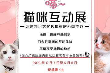 【展宣】北京猫咪互动展