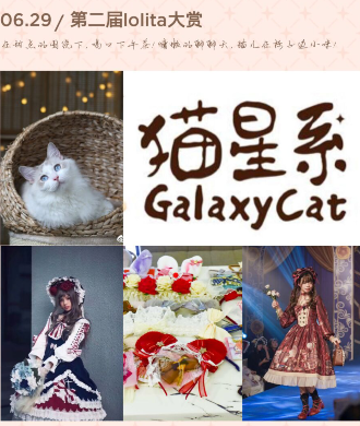 猫星系苜蓿联名茶会