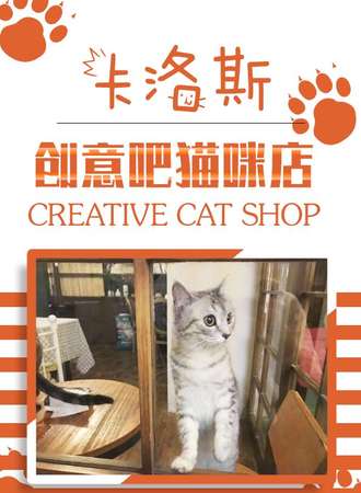 卡洛斯·创意吧猫咪店