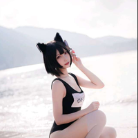 橙猫