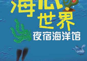 【展宣】夜宿海洋馆奇妙夜，“鱼”我共眠，神奇海洋之旅启程！