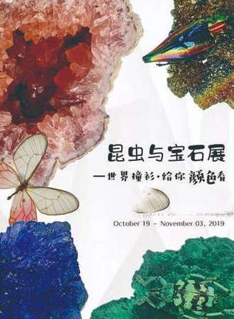 【带娃去看展】昆虫与宝石—世界撞衫，给你颜色看，快来~