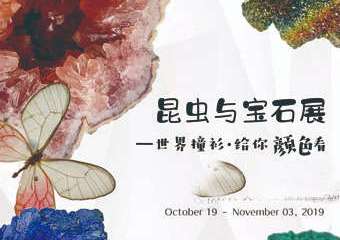 【展宣】【带娃去看展】昆虫与宝石—世界撞衫，给你颜色看，快来~