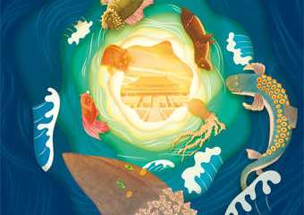 【购票须知】故宫里的海洋世界