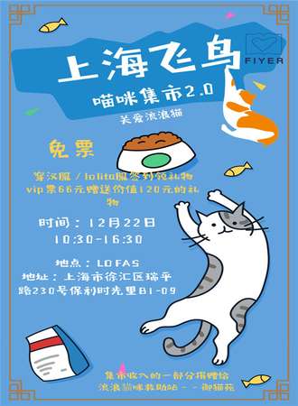上海飞鸟喵咪集市2.0  关爱流浪猫