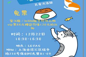 【展宣】上海飞鸟喵咪集市2.0 关爱流浪猫