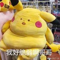 大猪蹄膀