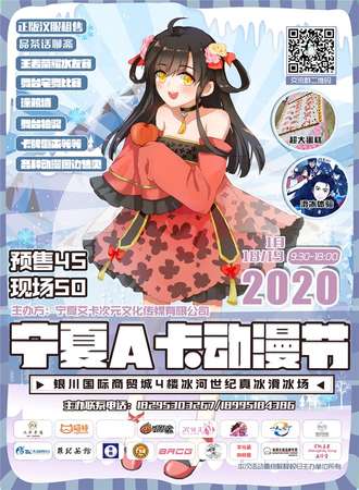 2020宁夏A卡动漫节