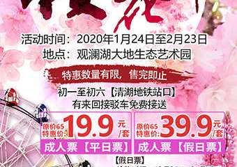【展宣】2020深圳观澜湖第四届樱花节