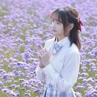 MLT-樱杏
