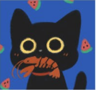 靴下猫腰子