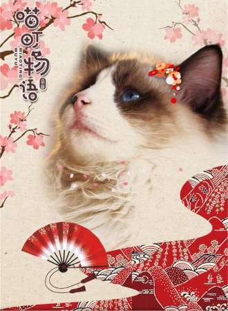 喵町物语-猫咖02-04
