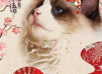 喵町物语-猫咖
