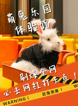 安哥拉萌兔乐园体验 独角兽星空艺术馆旁