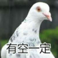 白野