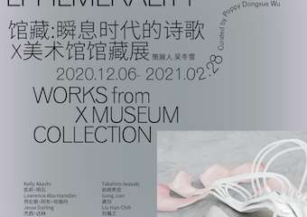 【展宣】【早鸟预售｜X美术馆馆藏展】馆藏：瞬息时代的诗歌